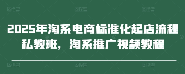 2025年淘系电商标准化起店流程私教班，淘系推广视频教程|HOOK协议网