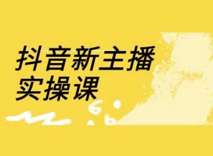 抖音新主播实操课，直播间流量运营线上实操课(18节)|HOOK协议网