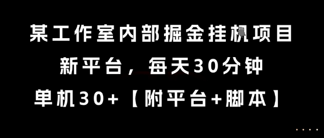 某工作室内部掘金挂G项目，新平台，每天30分钟，单机30+【揭秘】|HOOK协议网