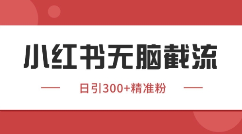 小红书只要你有同行就能获客，独家野路子获客玩法，暴力截流【揭秘】|HOOK协议网