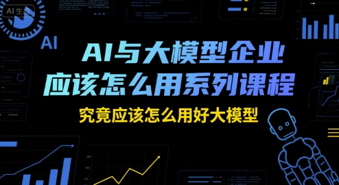 AI与大模型企业应该怎么用系列课程，究竟应该怎么用好大模型|HOOK协议网