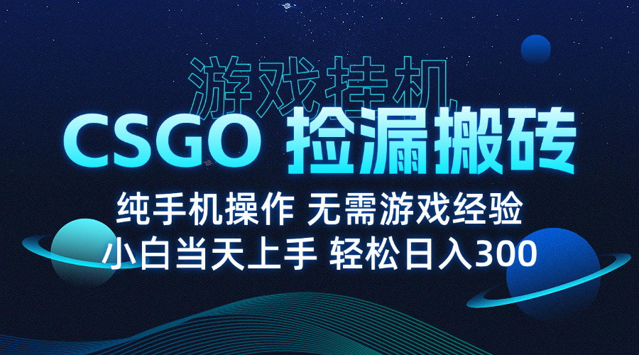 8月最新游戏搬砖，CSGO纯挂机，不需要玩游戏，实现真挂机，月入1W+|HOOK协议网