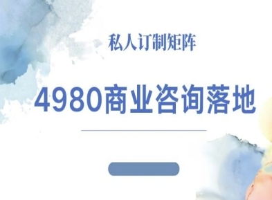 4980商业咨询师落地课程-ip运营高客单教程|HOOK协议网