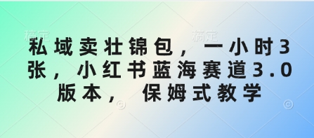 私域卖壮锦包，一小时3张，小红书蓝海赛道3.0版本， 保姆式教学|HOOK协议网