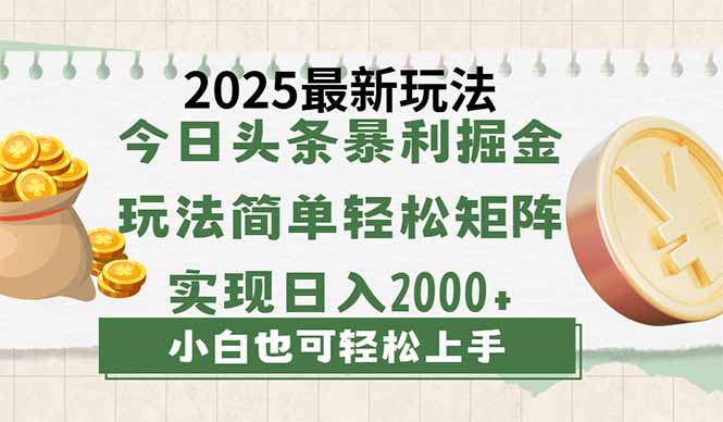 今日头条2025最新玩法，思路简单，复制粘贴，轻松实现矩阵日入2000+|HOOK协议网