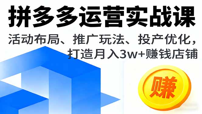 拼多多运营实战课，活动布局、推广玩法、投产优化，打造月入3w+赚钱店铺|HOOK协议网