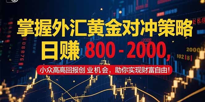 掌握外汇黄金对冲策略，日赚 800 – 2000，小众高回报创业机会，助你实…|HOOK协议网