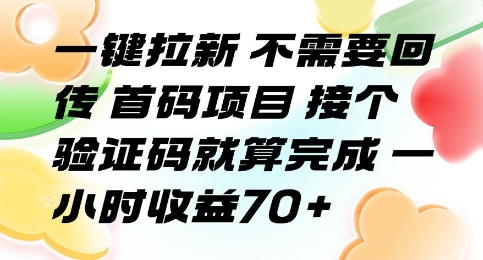 一键拉新 不需要回传 首码项目 接个验证码就算完成 一小时收益70+【揭秘】|HOOK协议网