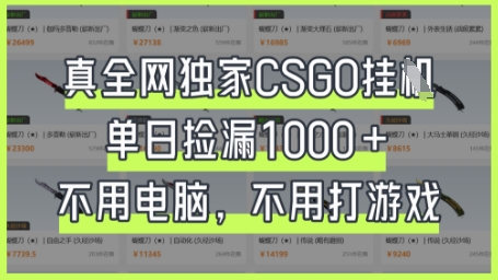 真全网独家CSGO挂G，单日捡漏1k+【揭秘】|HOOK协议网