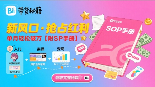 B站哔哩哔哩带货秘籍，新风口，抢占红利，单月轻松破万【附SOP手册】|HOOK协议网