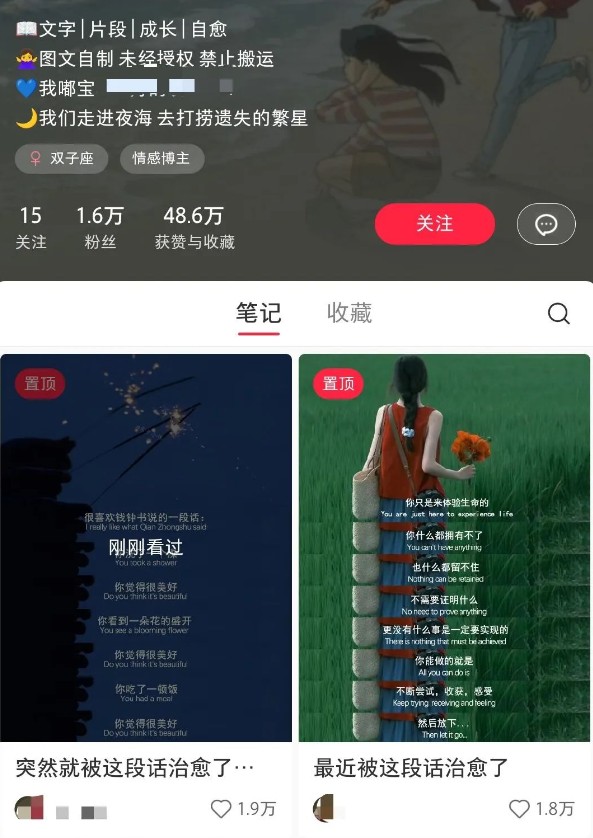 小红书治愈文案图文笔记，零门槛，一分钟制作轻松制作爆款作品月入万元|HOOK协议网
