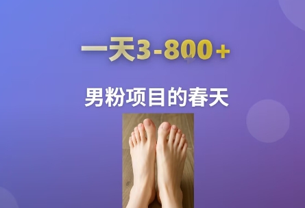 AI一键生成美女素材，一天收益3-8张，男粉项目的春天|HOOK协议网