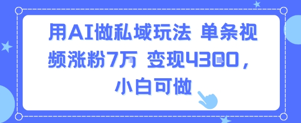 用AI做私域玩法，单条视频涨粉7W变现4.3k，小白可做|HOOK协议网