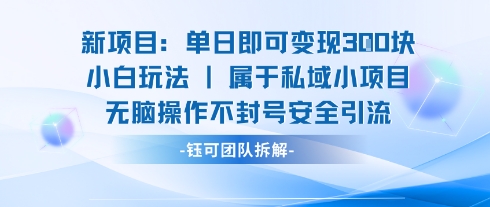 新项目单日即可变现3张的小白玩法无脑操作不封号安全引流|HOOK协议网