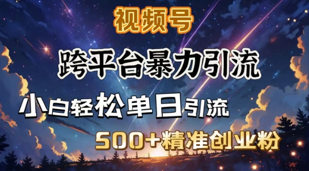 跨平台暴力引流，私域完美闭环，日引500+精准创业粉|HOOK协议网
