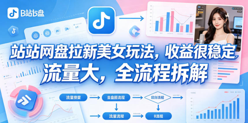 B站网盘拉新美女玩法，收益很稳定，流量大，全流程拆解|一人科技公司导航
