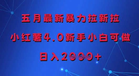 五月最新暴力拉新拉，小红薯4.0新手小白可做，日入多张|HOOK协议网