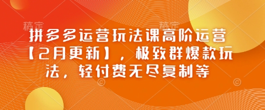 拼多多运营玩法课高阶运营【2月更新】，极致群爆款玩法，轻付费无尽复制等|HOOK协议网