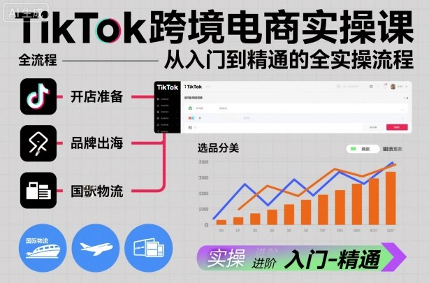 TikTok跨境电商实操课，从入门到精通的全实操流程|HOOK协议网