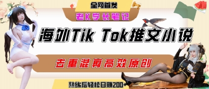 海外tiktok小说推文暴力项目，高停留率，高转化率，上手后一天搞顿饭钱不是问题|HOOK协议网