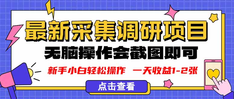新版采集调研项目，截图上传即可，无脑操作，日收益1-2张|HOOK协议网