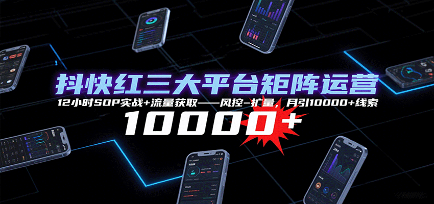 抖快红三大平台矩阵运营，12小时SOP实战+流量获取-风控-扩量，月引10000+线索|HOOK协议网