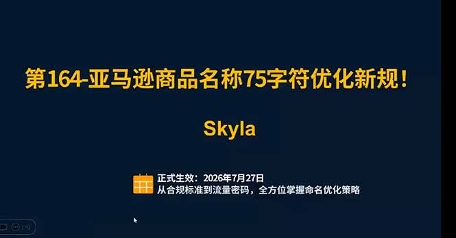 亚马逊跨境实战课：全品类选品逻辑｜SP/SB/SD广告精细化｜新品打爆旺季爆单全套运营教程|一人科技OPC聚合软件
