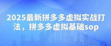 2025最新拼多多虚拟实战打法，拼多多虚拟基础sop|HOOK协议网