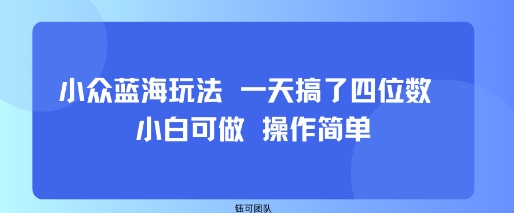 小众蓝海玩法 一天搞了四位数 小白可做 操作简单|HOOK协议网