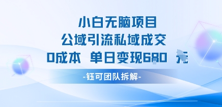 小白无脑项目公域引流私域成交0成本单日变现680米|HOOK协议网