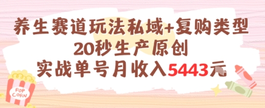 养生赛道玩法私域+复购类型，20秒生产原创实战单号月收入5k+|HOOK协议网