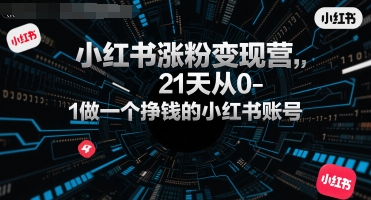小红书涨粉变现营，21天从0-1做一个挣钱的小红书账号|HOOK协议网