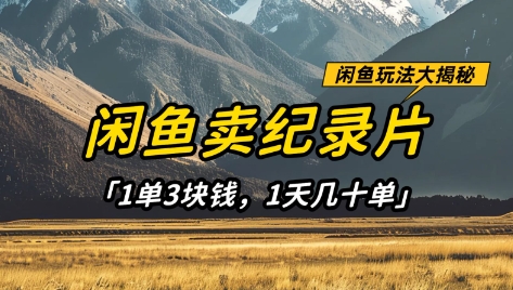 闲鱼卖纪录片1单3块钱，1天几十单，项目稳定有潜力|HOOK协议网