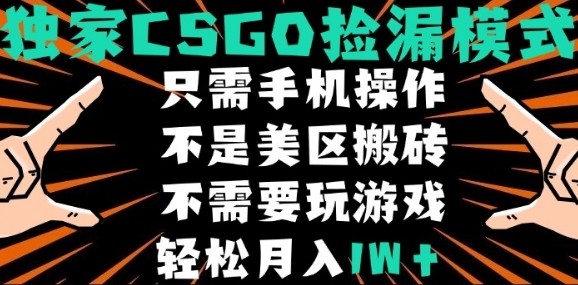 CSGO自动捡漏项目，最新独家玩法，不是美区搬砖，不需要了解和玩游戏，新手小白轻松月入1W+【揭秘】|HOOK协议网