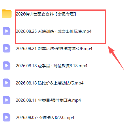 拼多多实战特训营(更新26年0827|一人科技OPC聚合软件