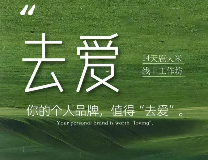 去爱14天鹿大米线上工作坊，你的个人品牌，值得“去爱”|一人科技OPC聚合软件