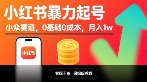 小红书暴力起号，小众赛道，0基础0成本，月入1w|HOOK协议网