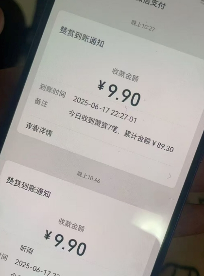 二次元男粉快速变现项目，私域卖虚拟产品，百分利润|HOOK协议网