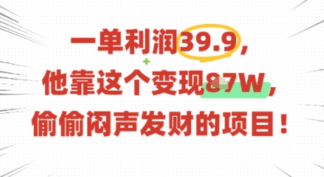 一单利润39.9，有人靠这个变现几十个，偷偷闷声发财的项目|HOOK协议网
