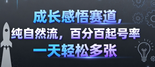 成长感悟赛道，纯自然流，百分百起号率 一天轻松多张|HOOK协议网