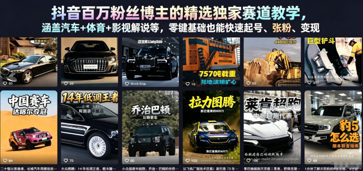 抖音百万粉丝博主的精选独家赛道教学，涵盖汽车+体育+影视解说等，零基础也能快速起号、涨粉、变现|一人科技公司导航
