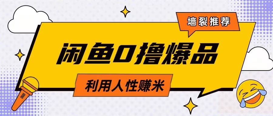 咸鱼0撸玩法利用人性售卖商品达到日挣2张的效果|HOOK协议网