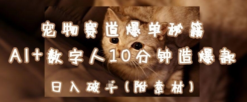 宠物赛道爆单秘籍：AI+数字人10分钟造爆款，日入1k|HOOK协议网