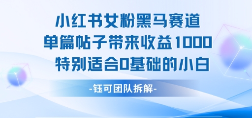 小红书女粉黑马赛道单篇帖子带来收益1k+，特别适合0基础的小白|HOOK协议网