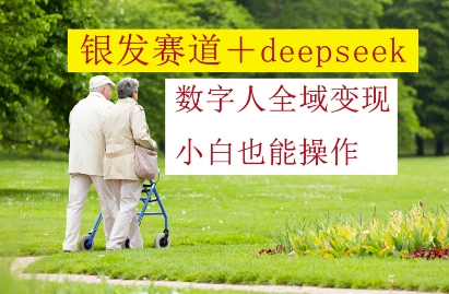 银发赛道+deepseek数字人全域变现，小白也能操作|HOOK协议网