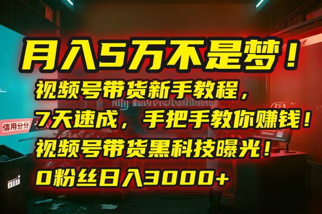 月入5万不是梦！视频号带货新手教程，7天速成，手把手教你赚钱！视频号…|HOOK协议网