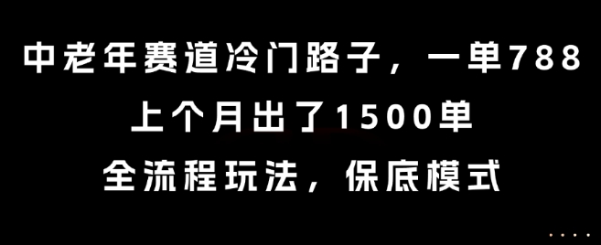 中老年赛道冷门路子，一单788，上个月出了1500单，全流程玩法，保底模式【揭秘】|HOOK协议网