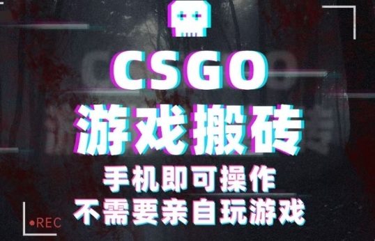 CSGO游戏挂G捡漏，单日扫货5张+，年底小高峰上车可吃肉，手机即可操作，兼职副业创业网创【揭秘】|HOOK协议网