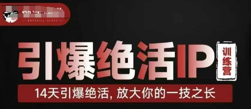 引爆绝活IP训练营，14天引爆绝活，放大你的一技之长|HOOK协议网