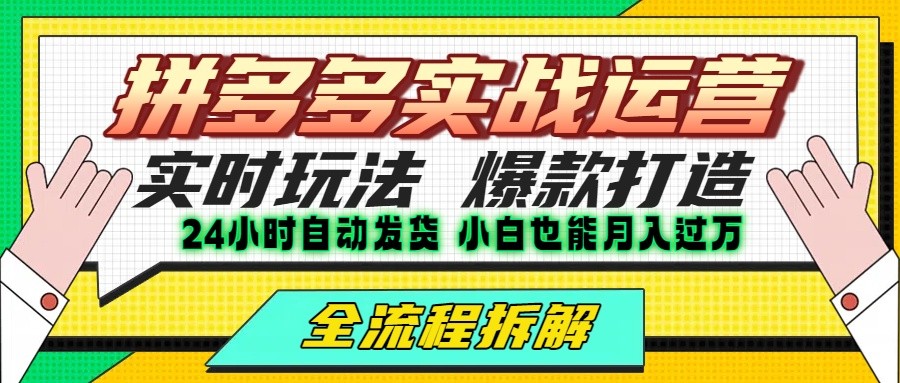 拼多多最新实战运营高投产：长久稳定项目，单店利润一天三位数|HOOK协议网